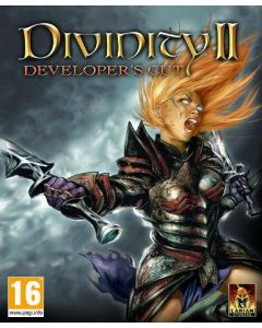 Divinity II: Developer's Cut (GOG)