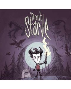 Dont Starve